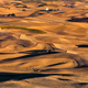 Wheat harvest in the Palouse (Image: Charles Knowles)